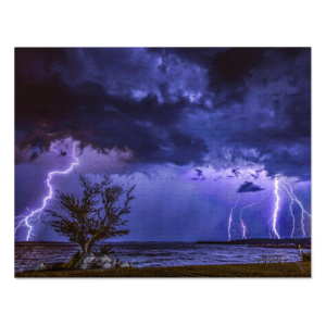 Family Fun Electric Jigsaw Puzzle