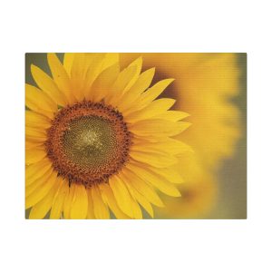 Satin Canvas, Stretched